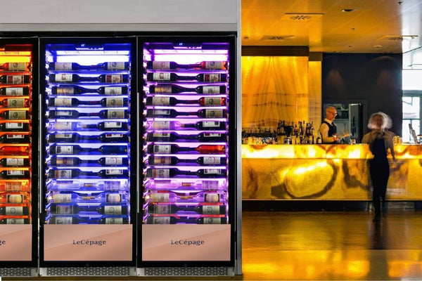 Le Guide Ultime pour Choisir Votre Armoire à Vin LeCépage : Capacité de Bouteilles