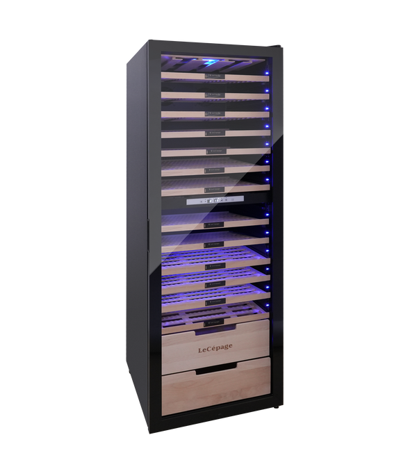 AGCV230VN2Z1DFS- 173 Bouteilles Double Zone | LeCépage