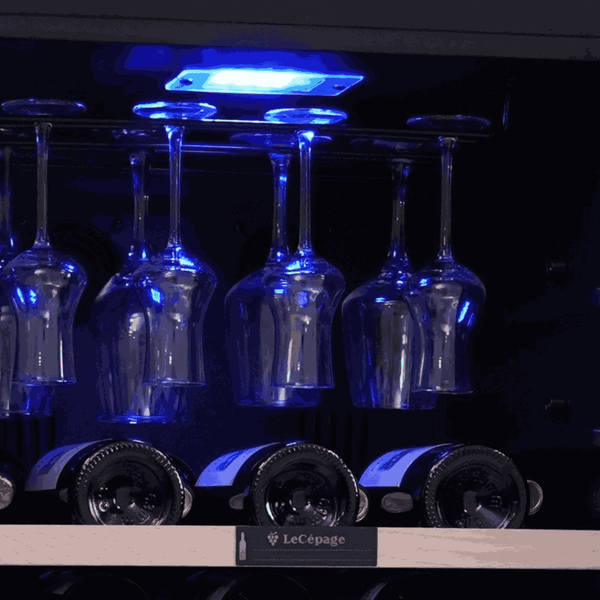 AGCS100VN 97 Bouteilles Monozone | LeCépage