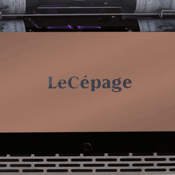AGCS239VX1ZPRO 239 Bouteilles Monozone | LeCépage