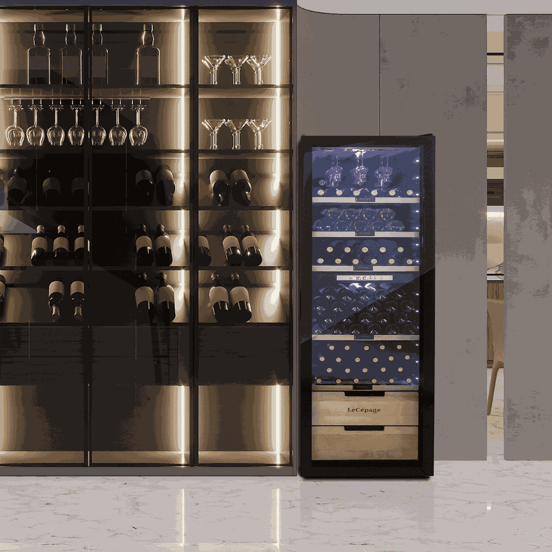 AGCV230VN2Z1D 231 Bouteilles Double Zone | LeCépage
