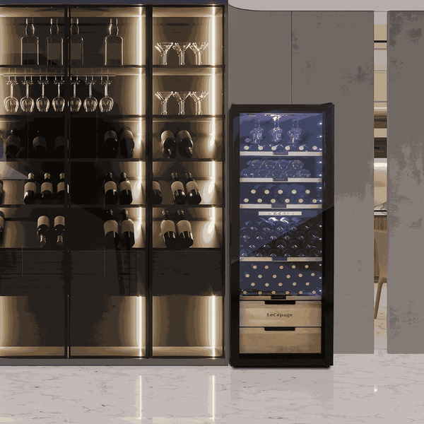 AGCV230VN2Z1D 231 Bouteilles Double Zone | LeCépage
