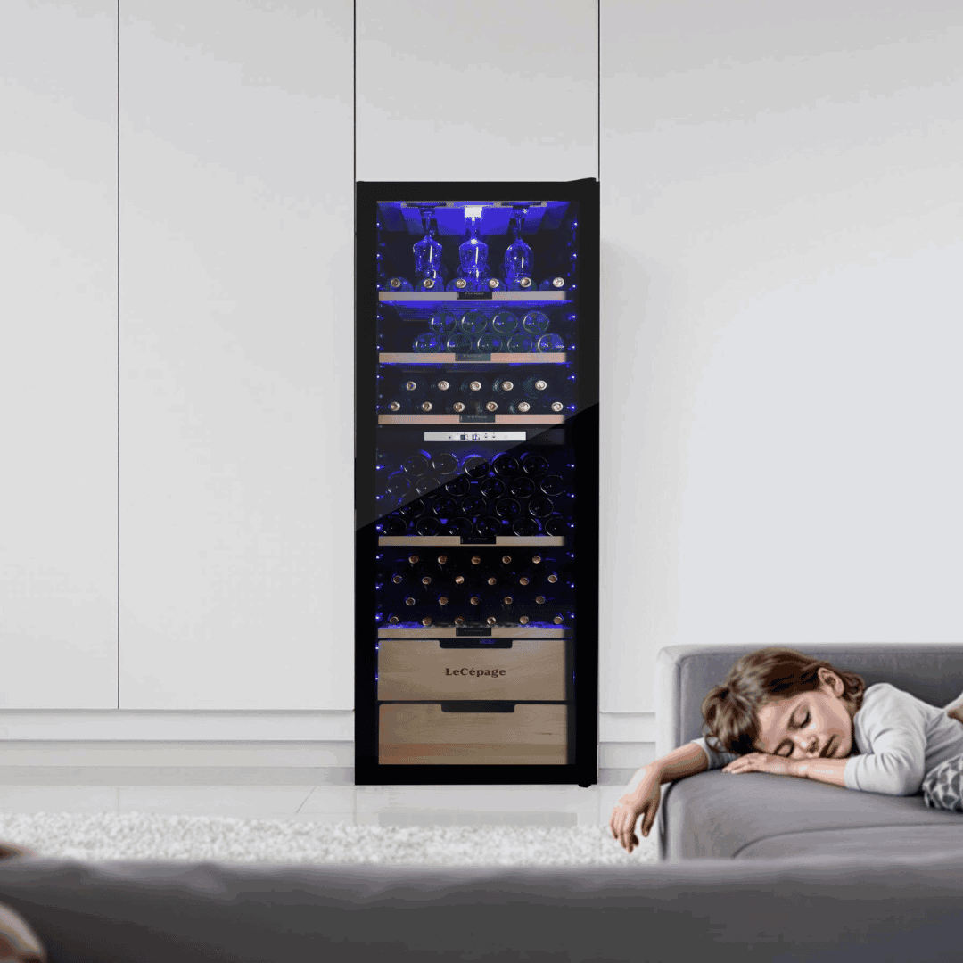 AGCV230VN2Z1D 231 Bouteilles Double Zone | LeCépage