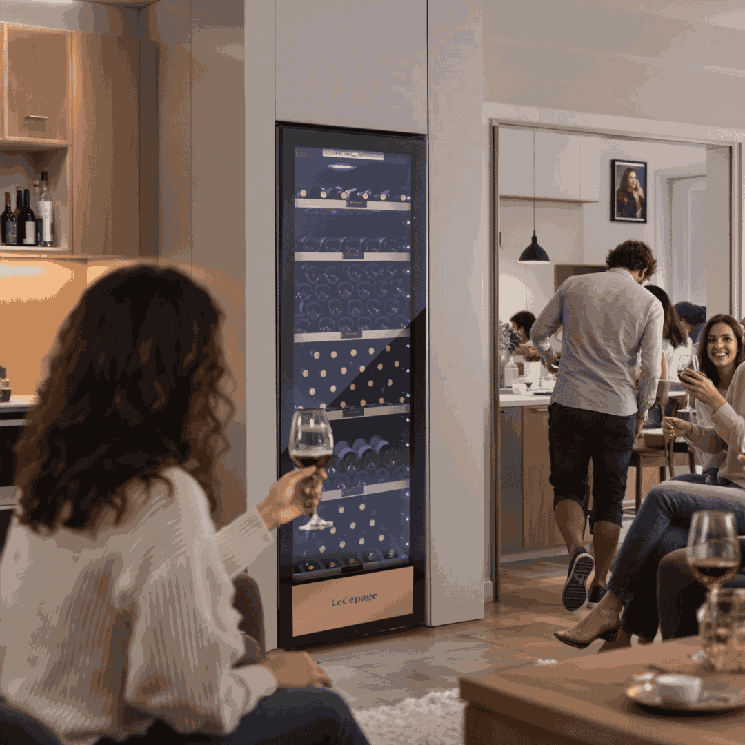 AGCV240VN1Z1D 248 Bouteilles Monozone | LeCépage