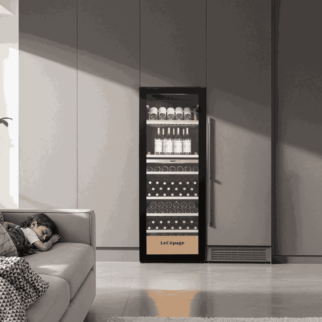 AGJ268VN2Z 268 Bouteilles Double Zone Polyvalente| LeCépage