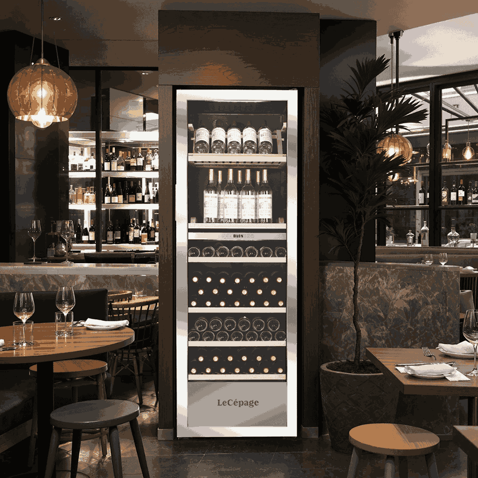 AGJ268VX2Z 268 Bouteilles Double Zone Polyvalente | LeCépage