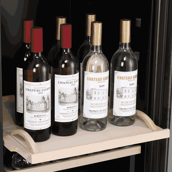 AGK116PV 116 Bouteilles Monozone | LeCépage