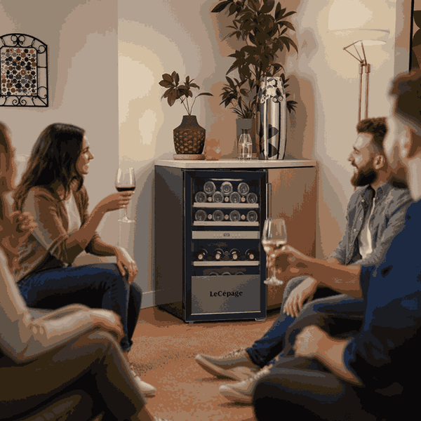 AGK562ZV 56 Bouteilles Double Zone | LeCépage